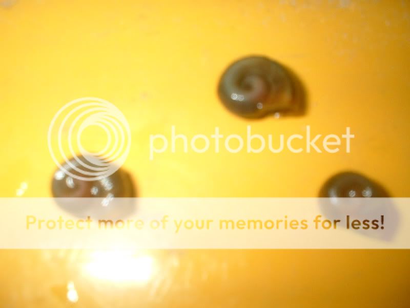 DSCF0024.jpg