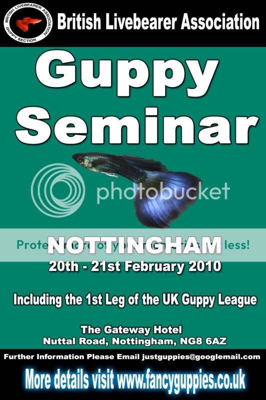 Guppy-seminar-fancyguppies.jpg