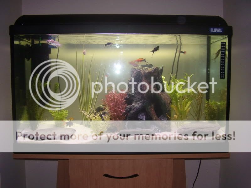 PB110144.jpg