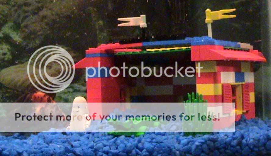 Legohouse1.jpg