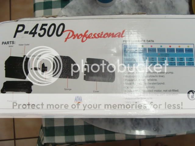 Dolphin500Proff003.jpg