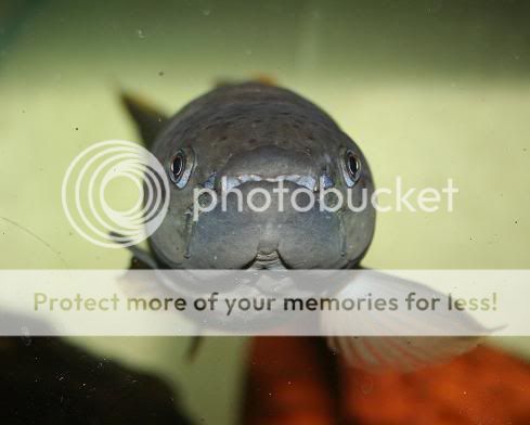 staring-1.jpg
