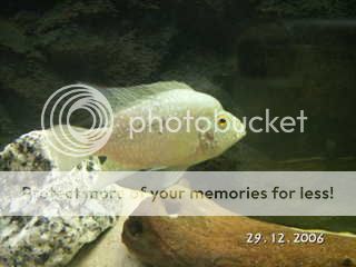 PICT0674.jpg