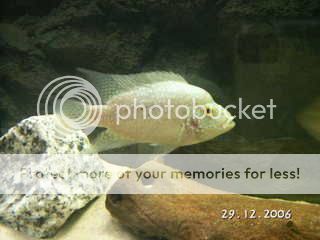 PICT0677.jpg