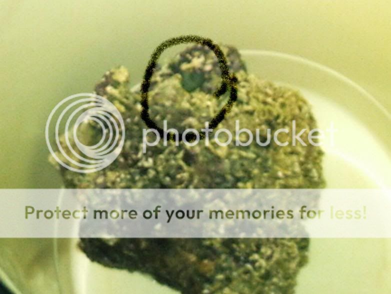 PHOT0010.jpg