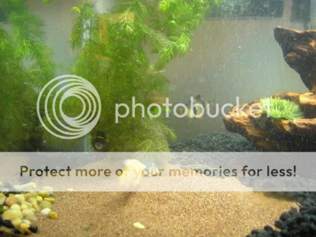 P6100038.jpg