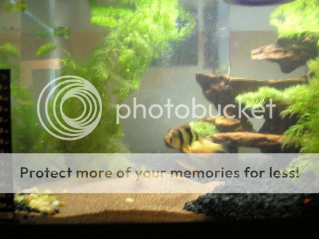 P6100048.jpg