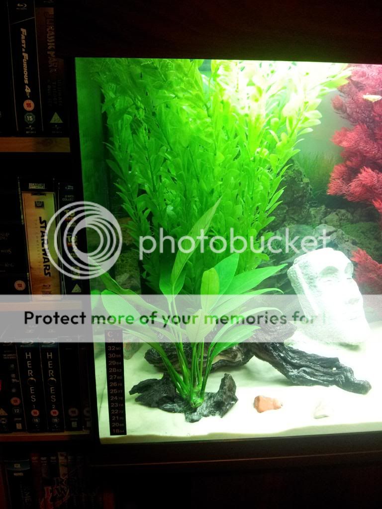 20121128_203531.jpg