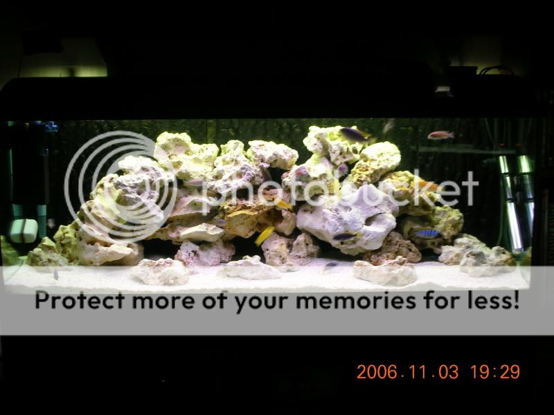 DSCN1343.jpg