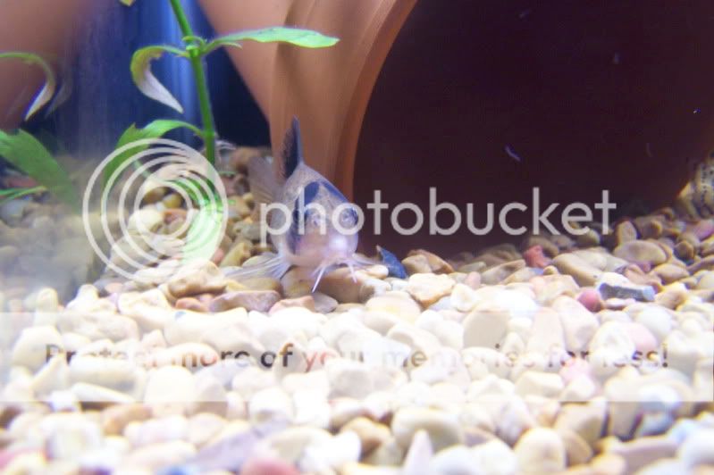 100_7815.jpg