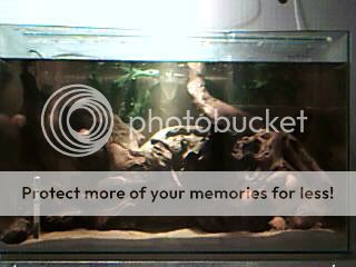 Picture215.jpg