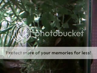 Picture219.jpg