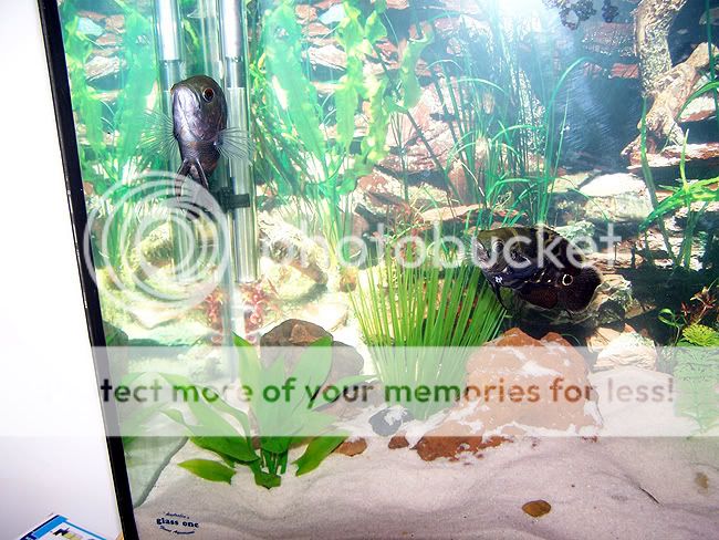 100_4297.jpg