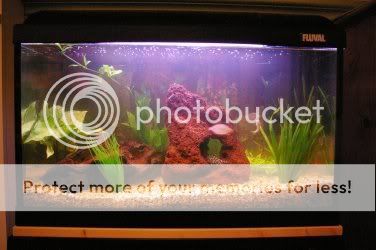 aquarium.jpg