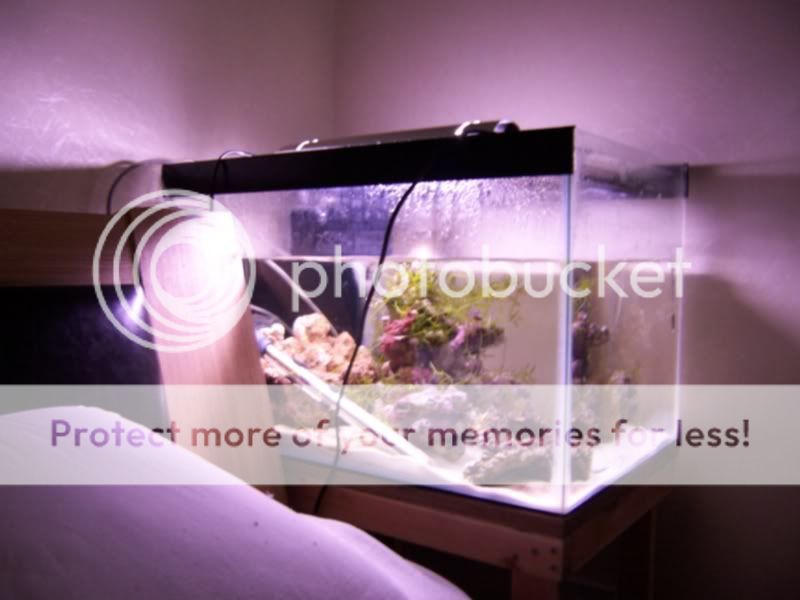 100_4919.jpg