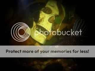 plecosandskull.jpg