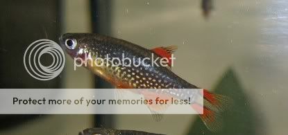 IMG_5214c.jpg