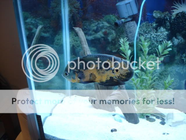 Picture062.jpg