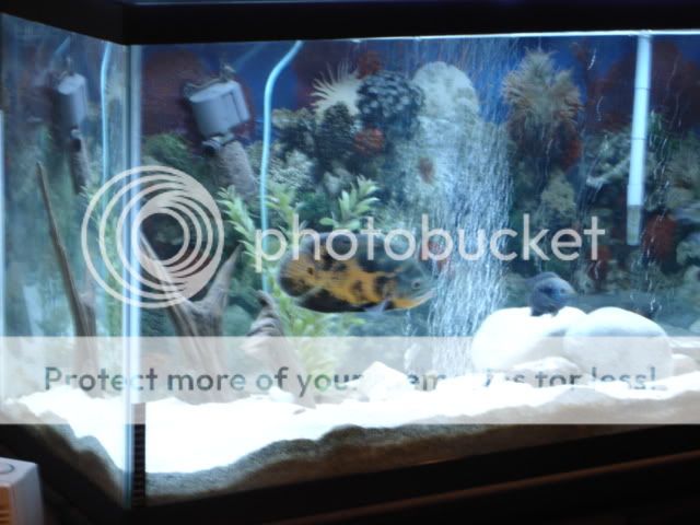 Picture070.jpg