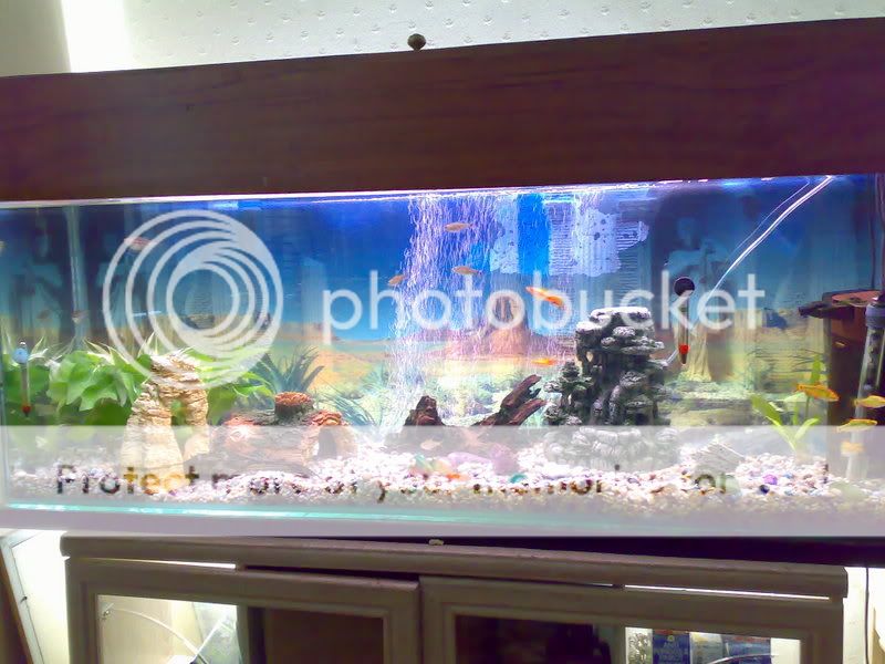 12082007592.jpg