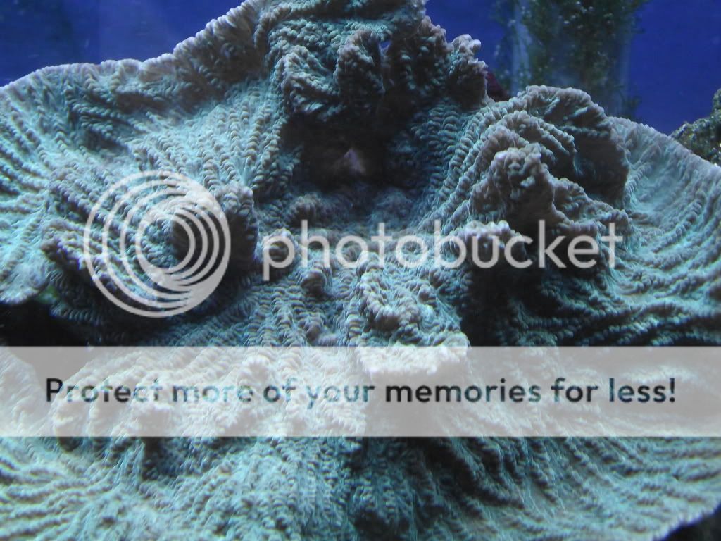 DSCF1535.jpg