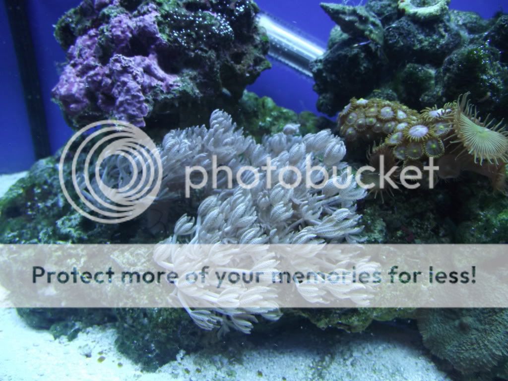 DSCF1557.jpg
