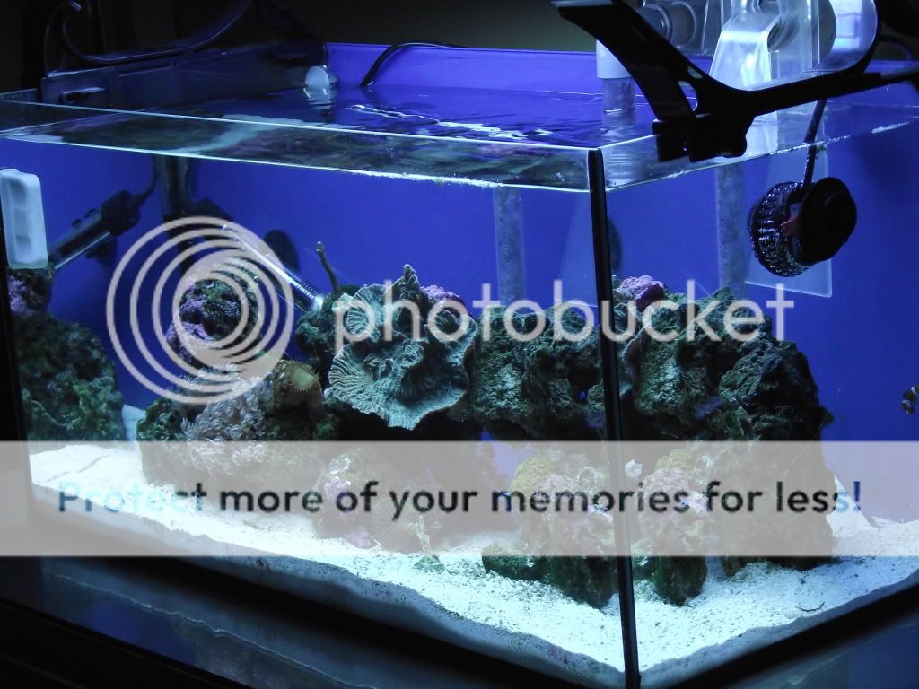 DSCF1560.jpg