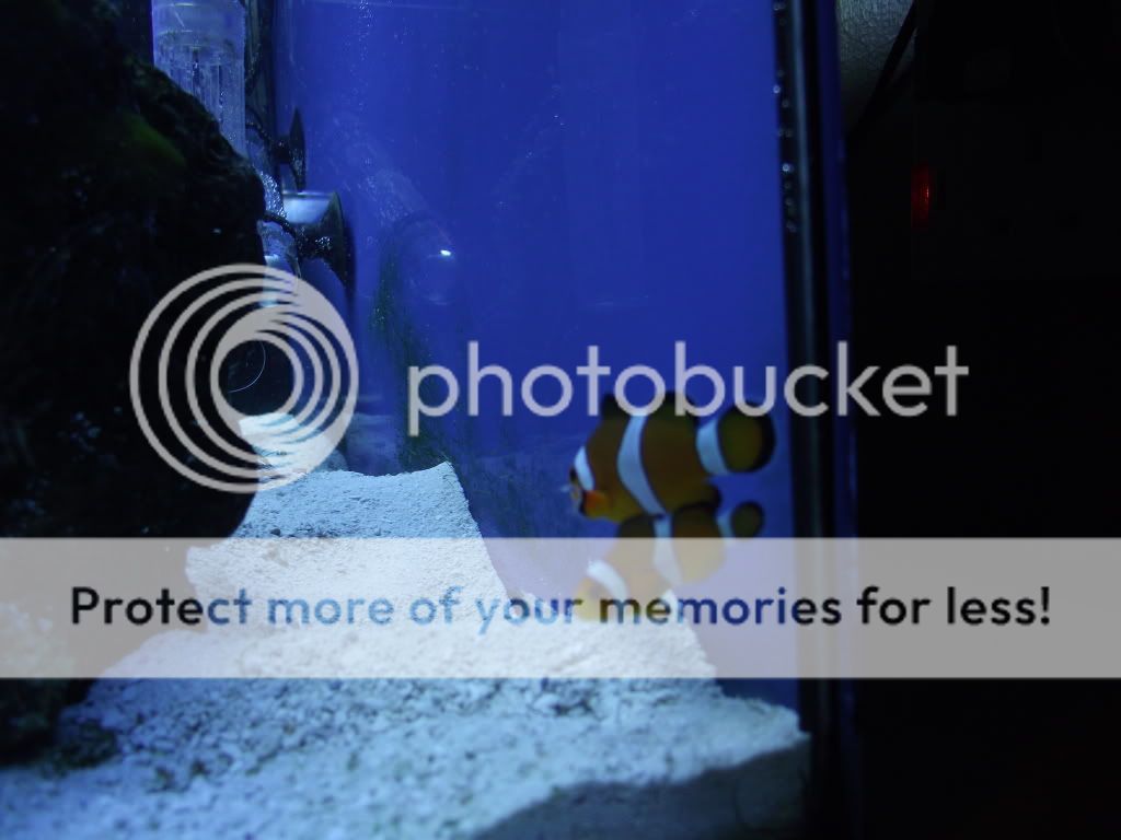 DSCF1562.jpg