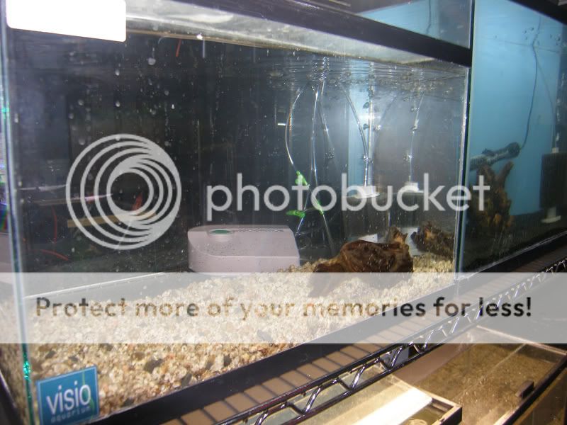 10gal3_01.jpg