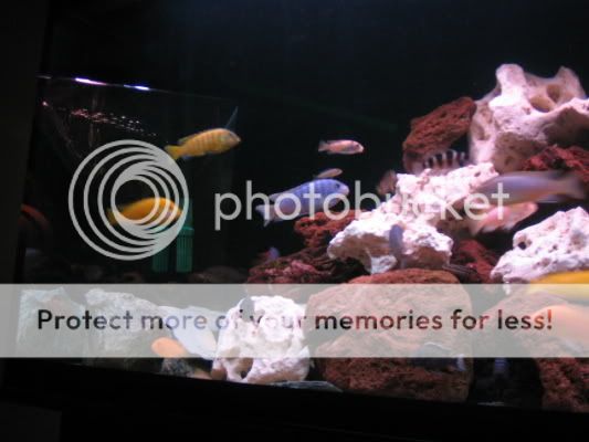 IMG_0005.jpg