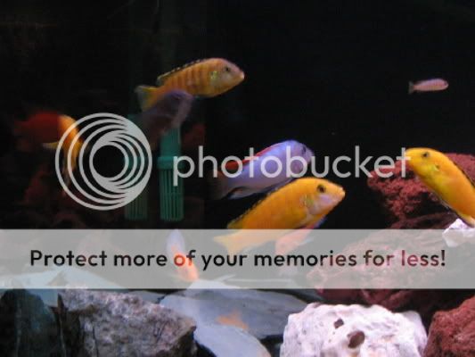 IMG_0018.jpg