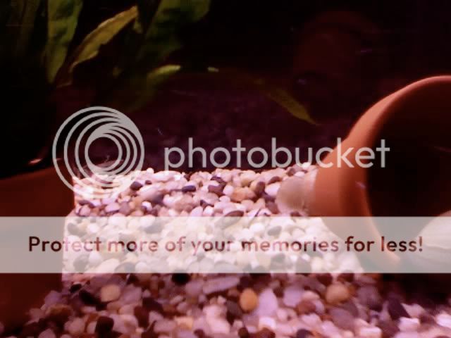 Photo102.jpg