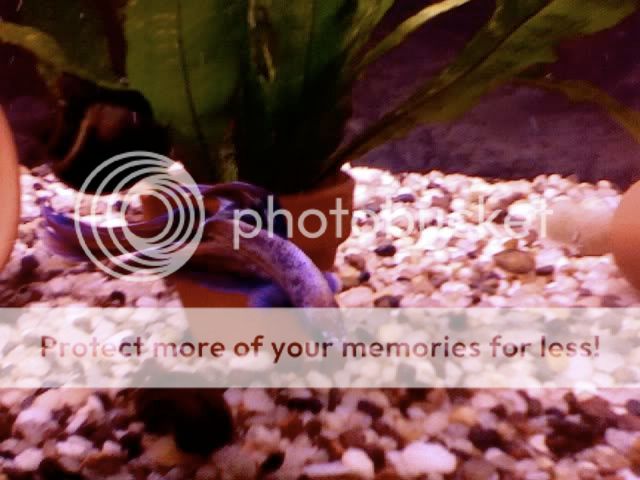 Photo115.jpg