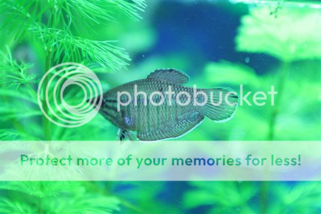IMG_3918Small.jpg
