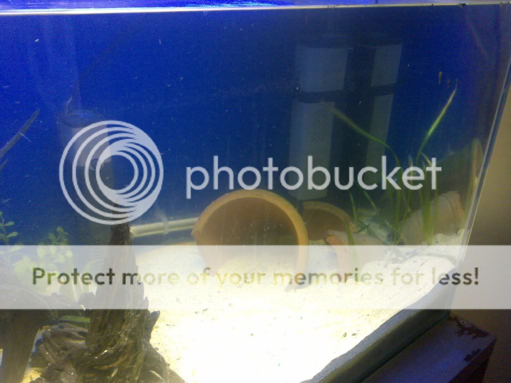 09042009242.jpg