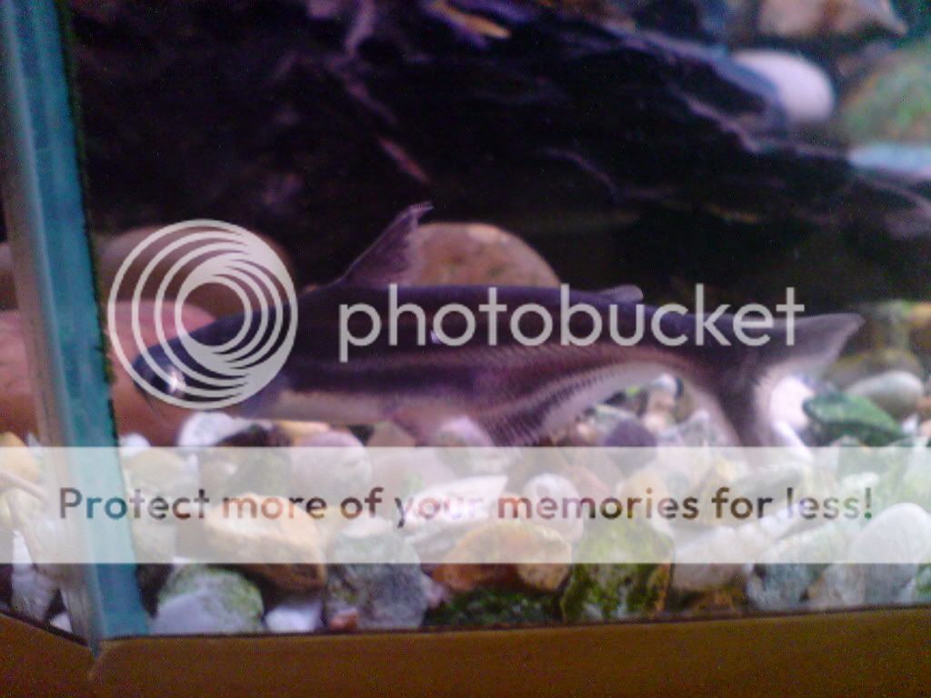DSC00137.jpg