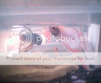 Picture040.jpg