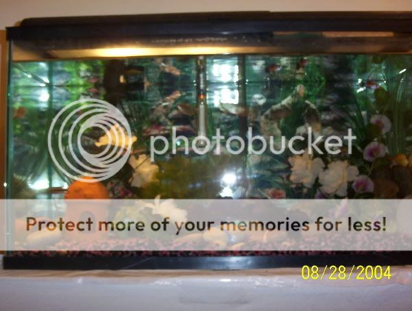 Picture_0011.jpg