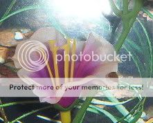 Picture_0015.jpg