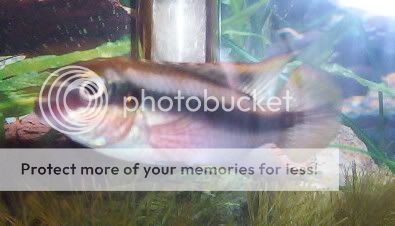 Picture_0021.jpg