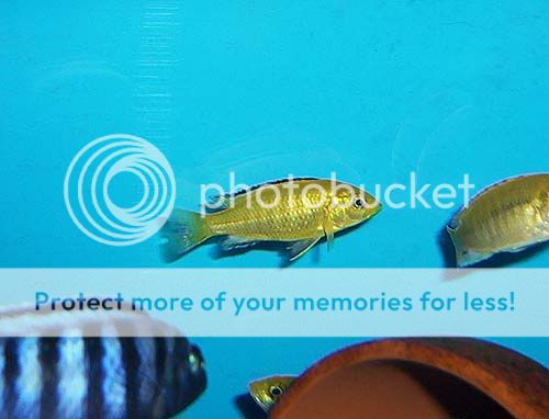 000_2043.jpg