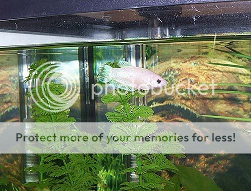000_2177.jpg
