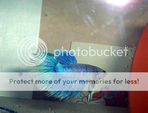 000_16101.jpg