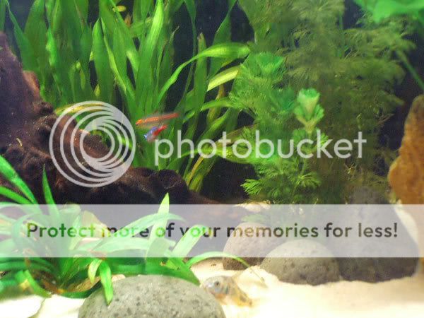 fish_05.jpg