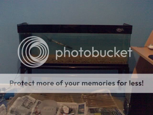 10082006262.jpg