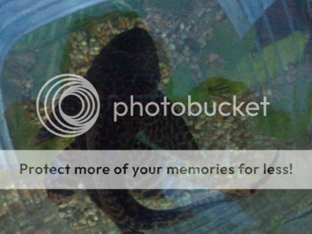 22082006303.jpg