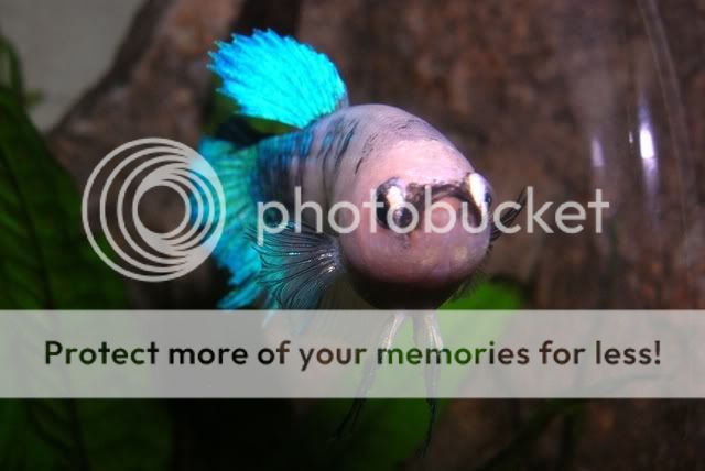 DSCN9858.jpg