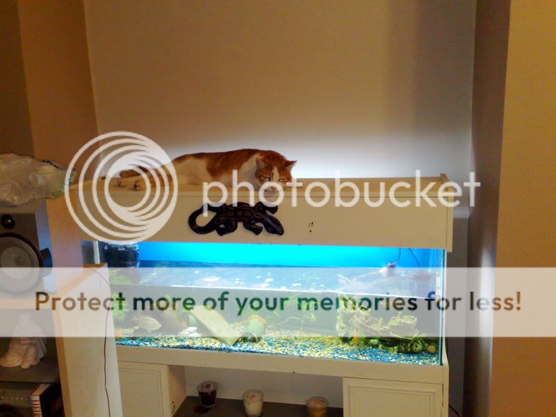 24022009048.jpg