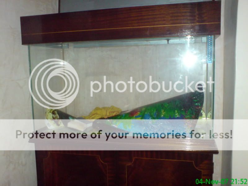 DSC00630.jpg