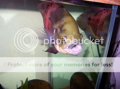 DSCN5506.jpg